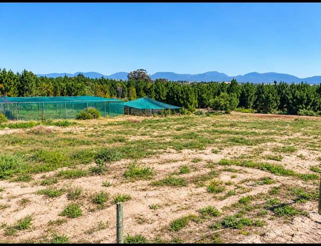 FARM FOR SALE IN RIVERSDALE RURAL